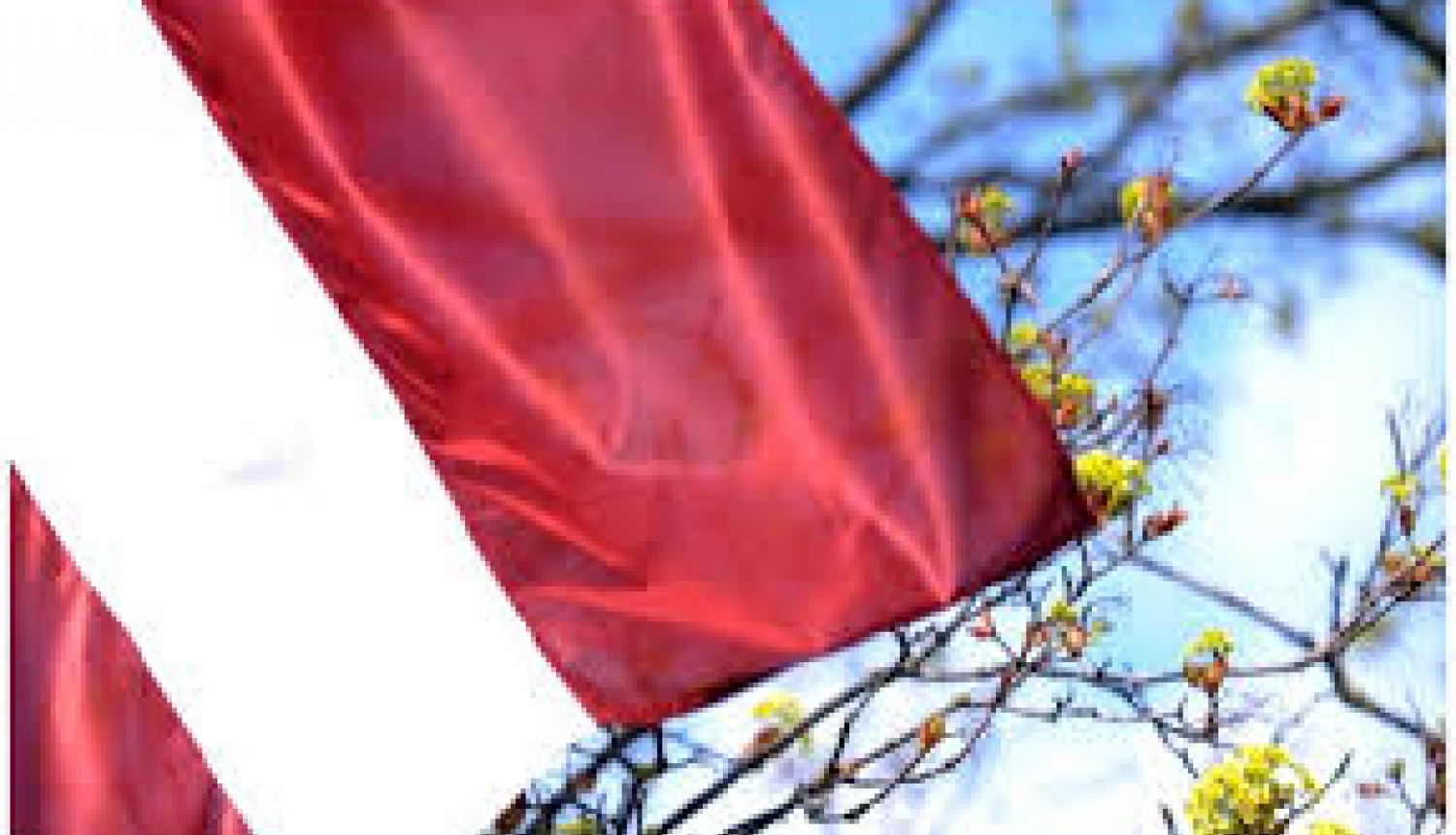 30. aprīlī Latvijas Republikas Neatkarības atjaunošanas dienas Svētku balle Valkā