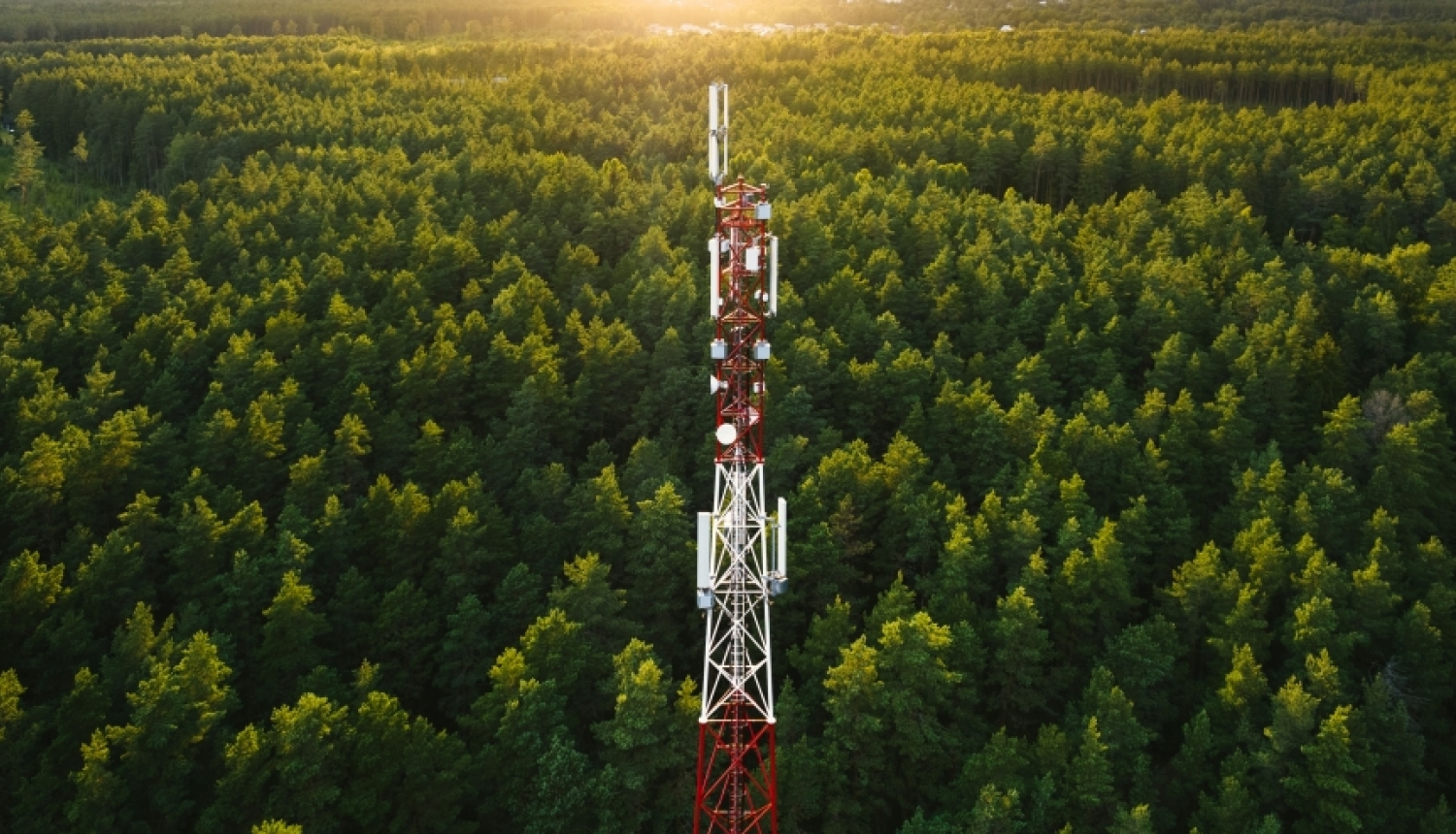 Sarkanbalts radio tornis meža vidū